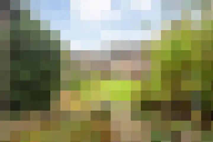 Orionlaan 6 Hardenberg thumbnail 42