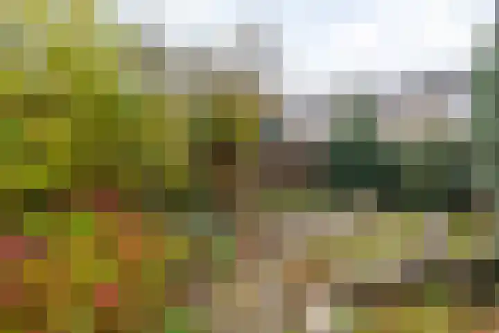 Orionlaan 6 Hardenberg thumbnail 43