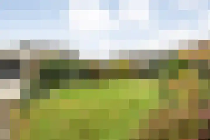 Orionlaan 6 Hardenberg thumbnail 44
