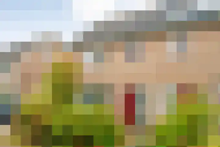 Orionlaan 6 Hardenberg thumbnail 45