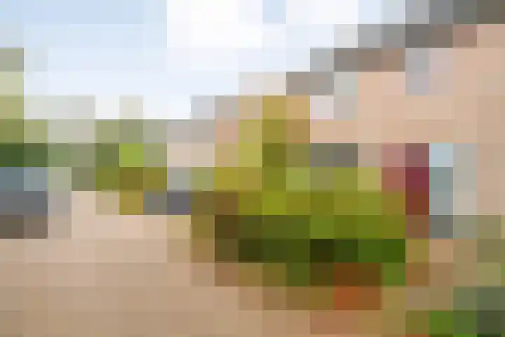 Orionlaan 6 Hardenberg thumbnail 46
