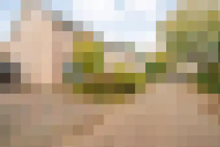 Orionlaan 6 Hardenberg thumbnail 47
