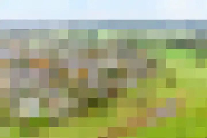 Orionlaan 6 Hardenberg thumbnail 48