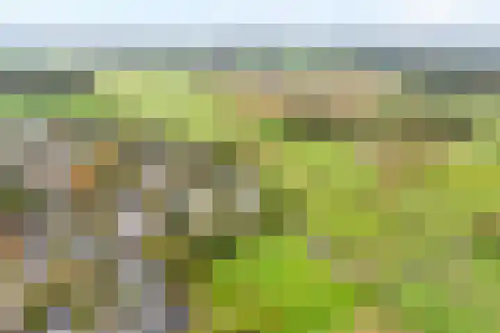 Orionlaan 6 Hardenberg thumbnail 49