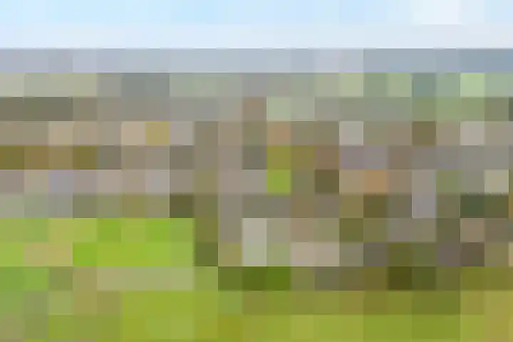 Orionlaan 6 Hardenberg thumbnail 5