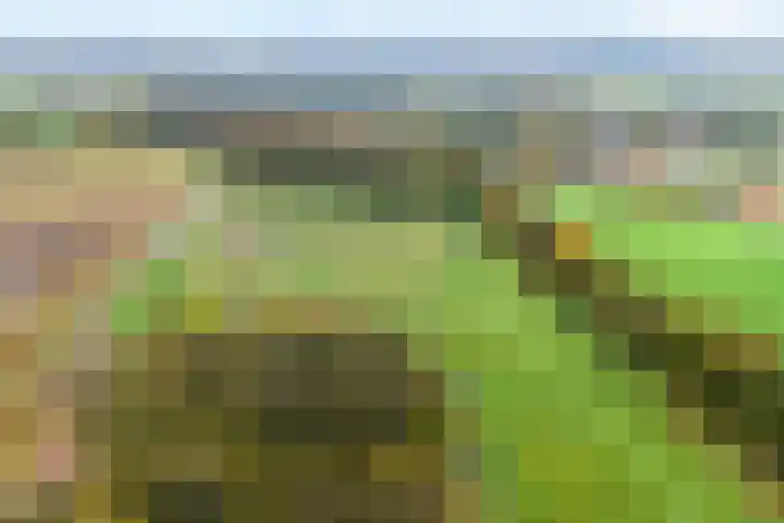 Orionlaan 6 Hardenberg thumbnail 50