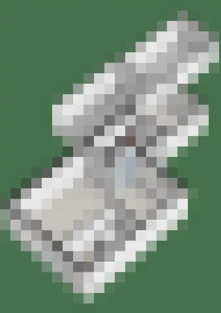 Orionlaan 6 Hardenberg thumbnail 52