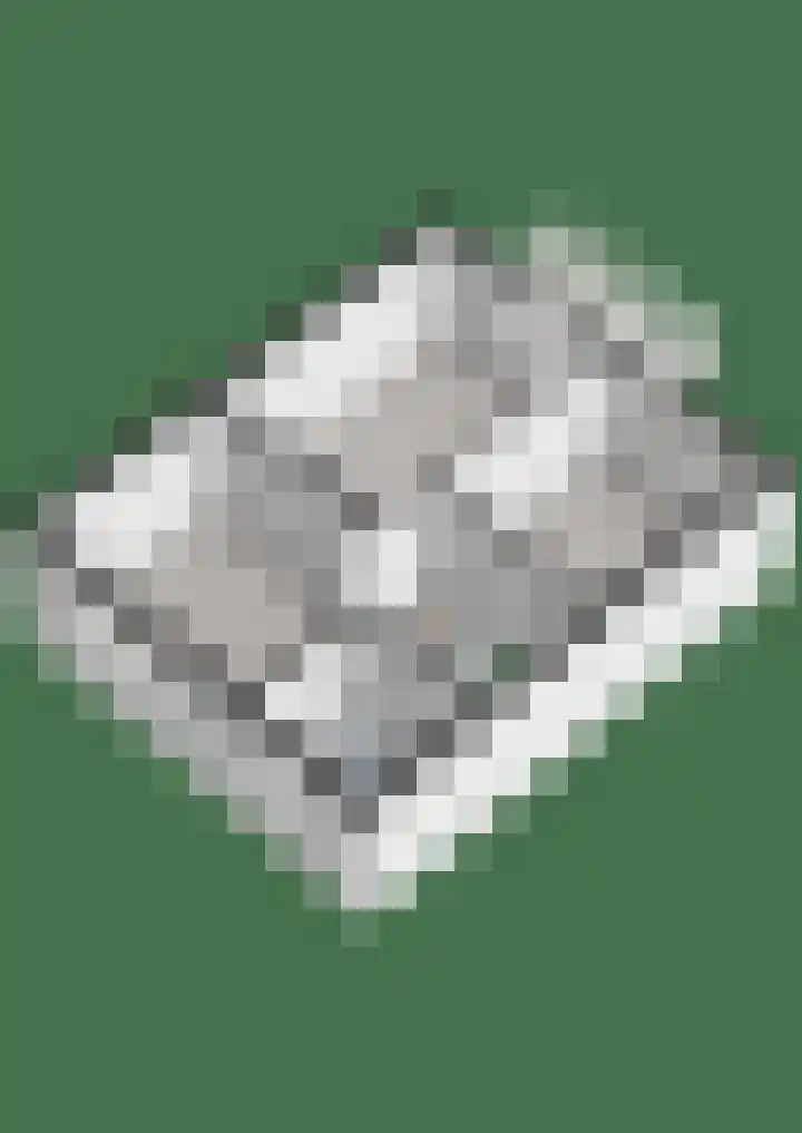 Orionlaan 6 Hardenberg thumbnail 54