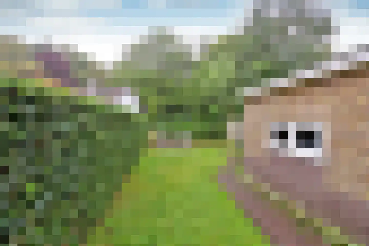 Orionlaan 68 Hilversum thumbnail 13