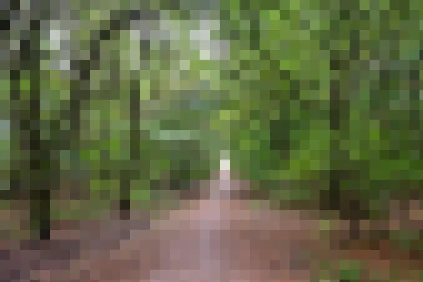 Orionlaan 68 Hilversum thumbnail 20