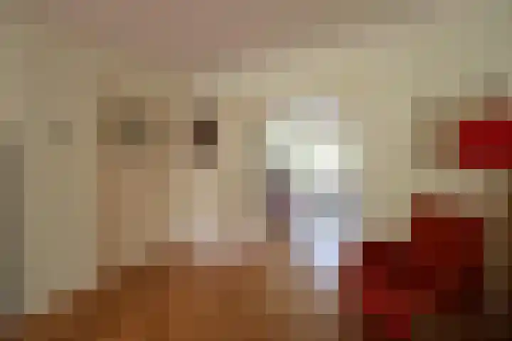 Orionlaan 71 Hilversum thumbnail 4
