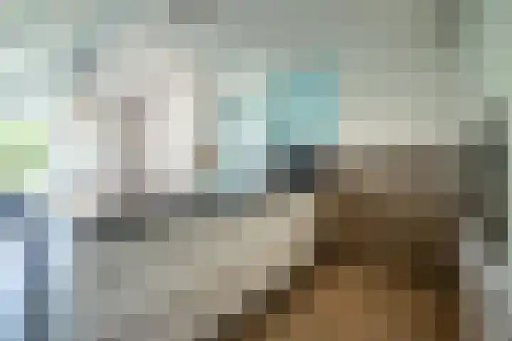 Orionsingel 14 Heerlen thumbnail 12