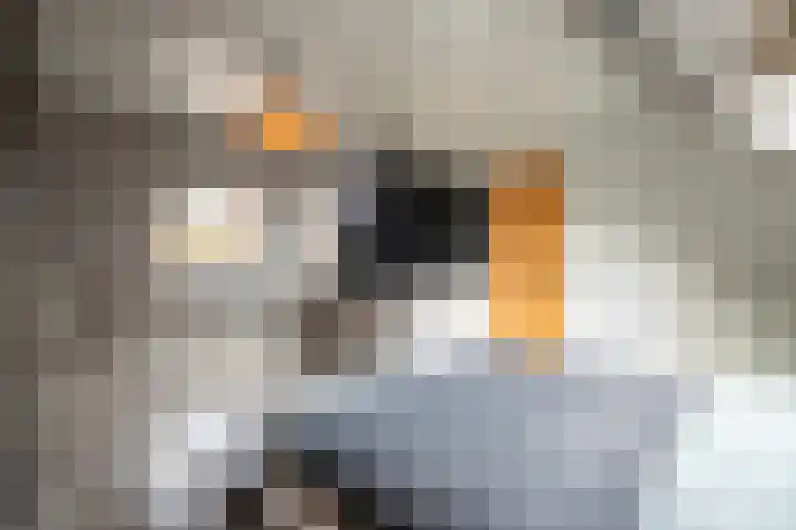 Orionsingel 14 Heerlen thumbnail 22