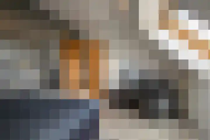 Orionsingel 14 Heerlen thumbnail 24