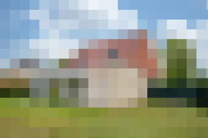 Orionsingel 14 Heerlen thumbnail 32