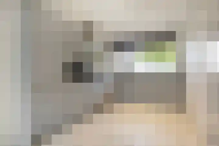 Orionsingel 204 Arnhem thumbnail 10