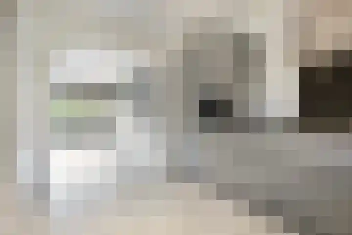 Orionsingel 204 Arnhem thumbnail 12