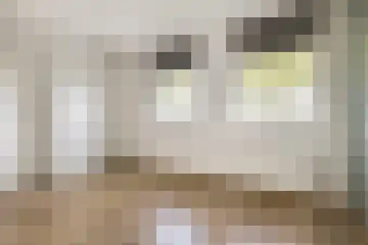Orionsingel 204 Arnhem thumbnail 14