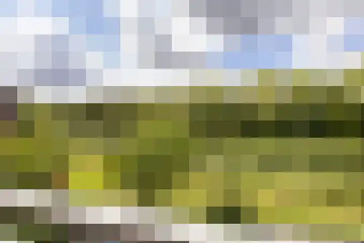 Orionsingel 204 Arnhem thumbnail 4