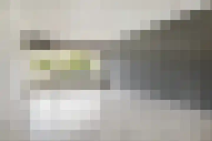 Orionsingel 204 Arnhem thumbnail 6