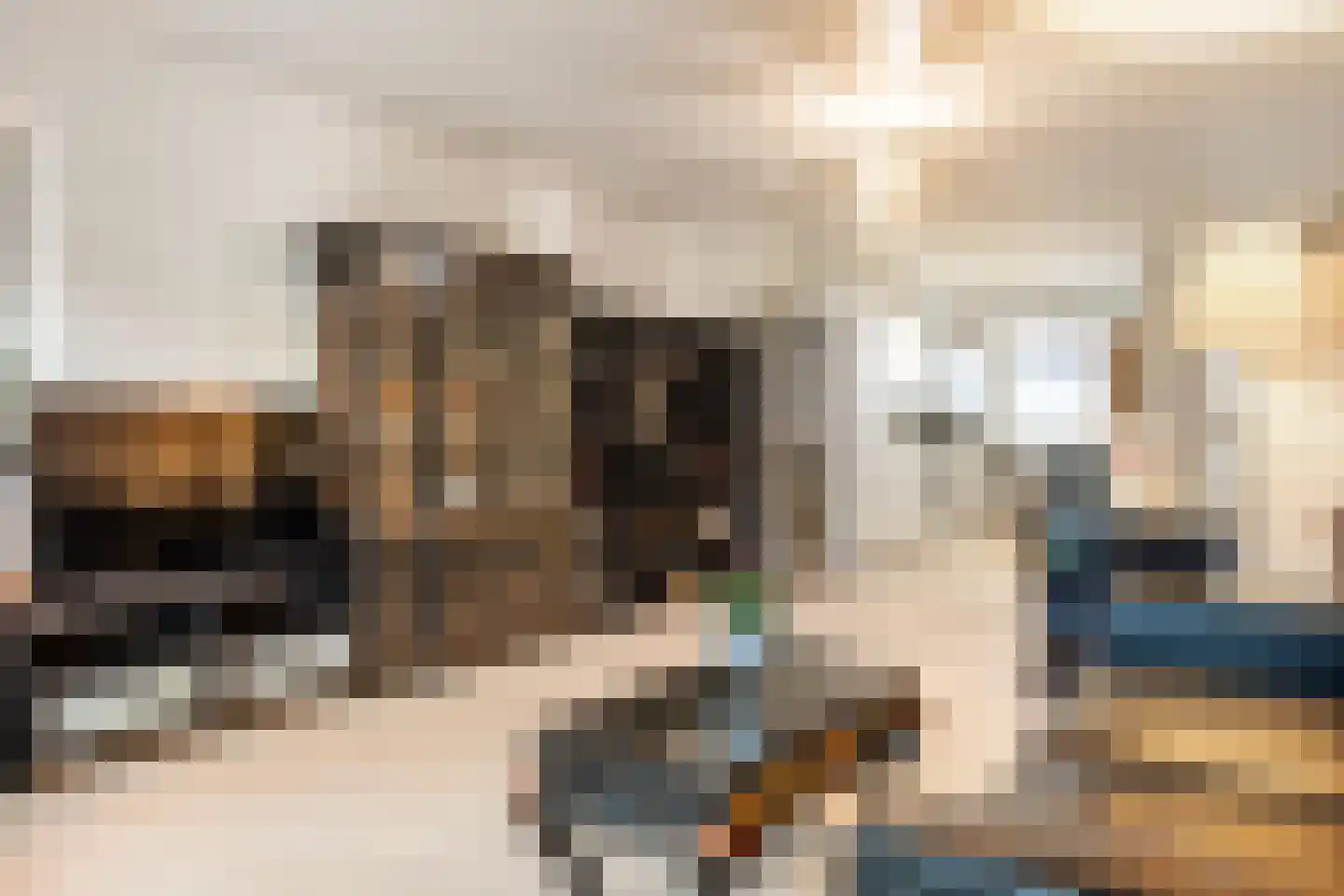 Orionsingel 206 Arnhem thumbnail 12