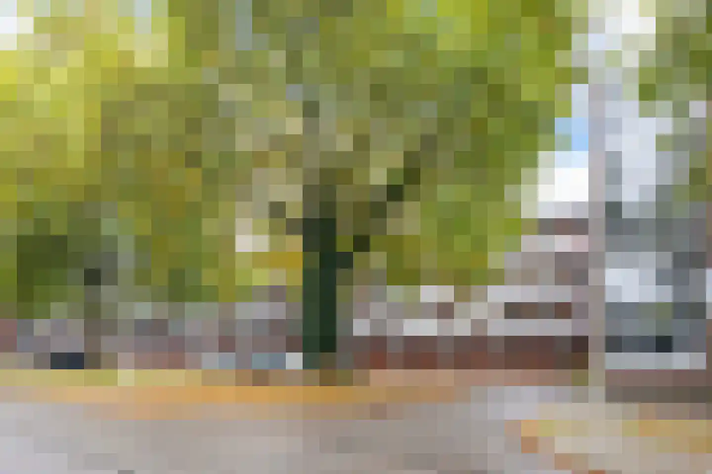 Orionsingel 206 Arnhem thumbnail 30