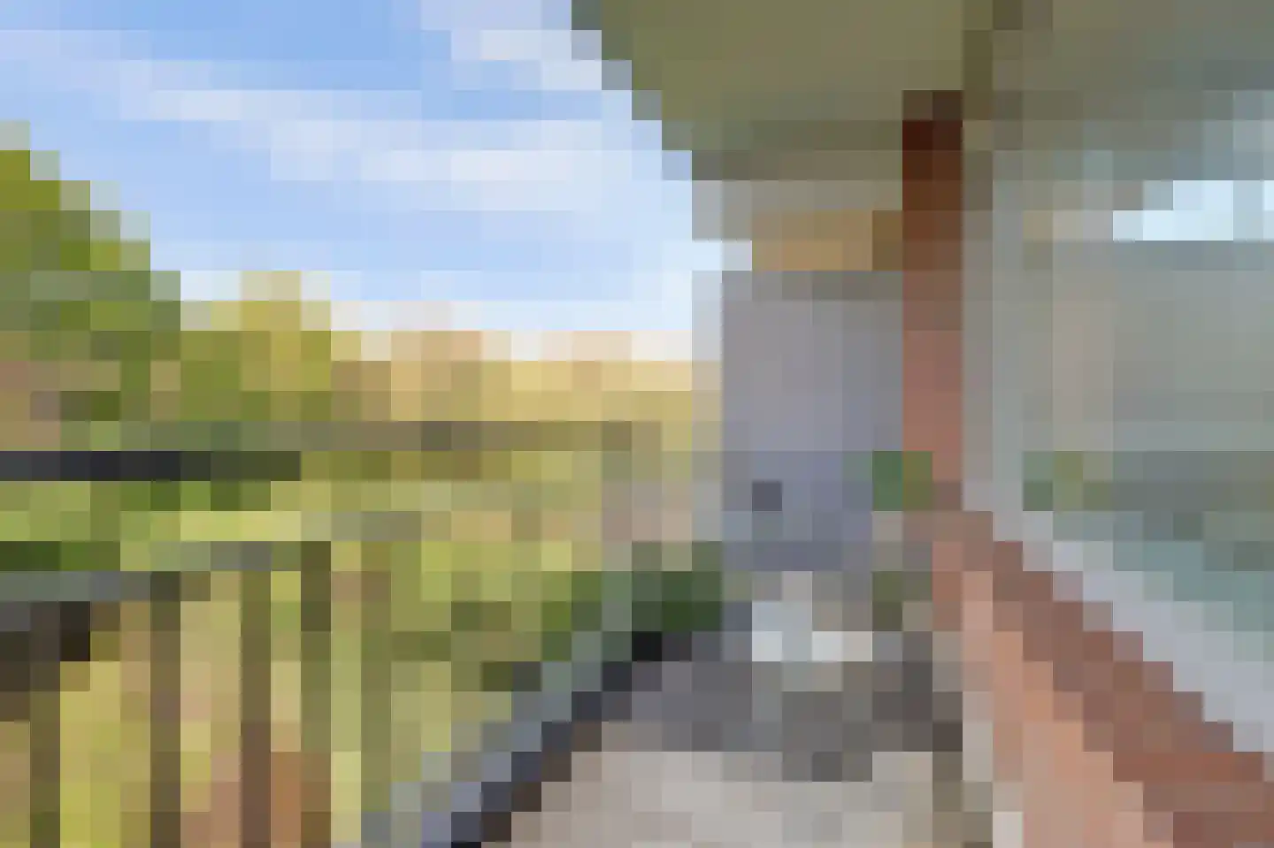 Orionsingel 240 Arnhem thumbnail 34