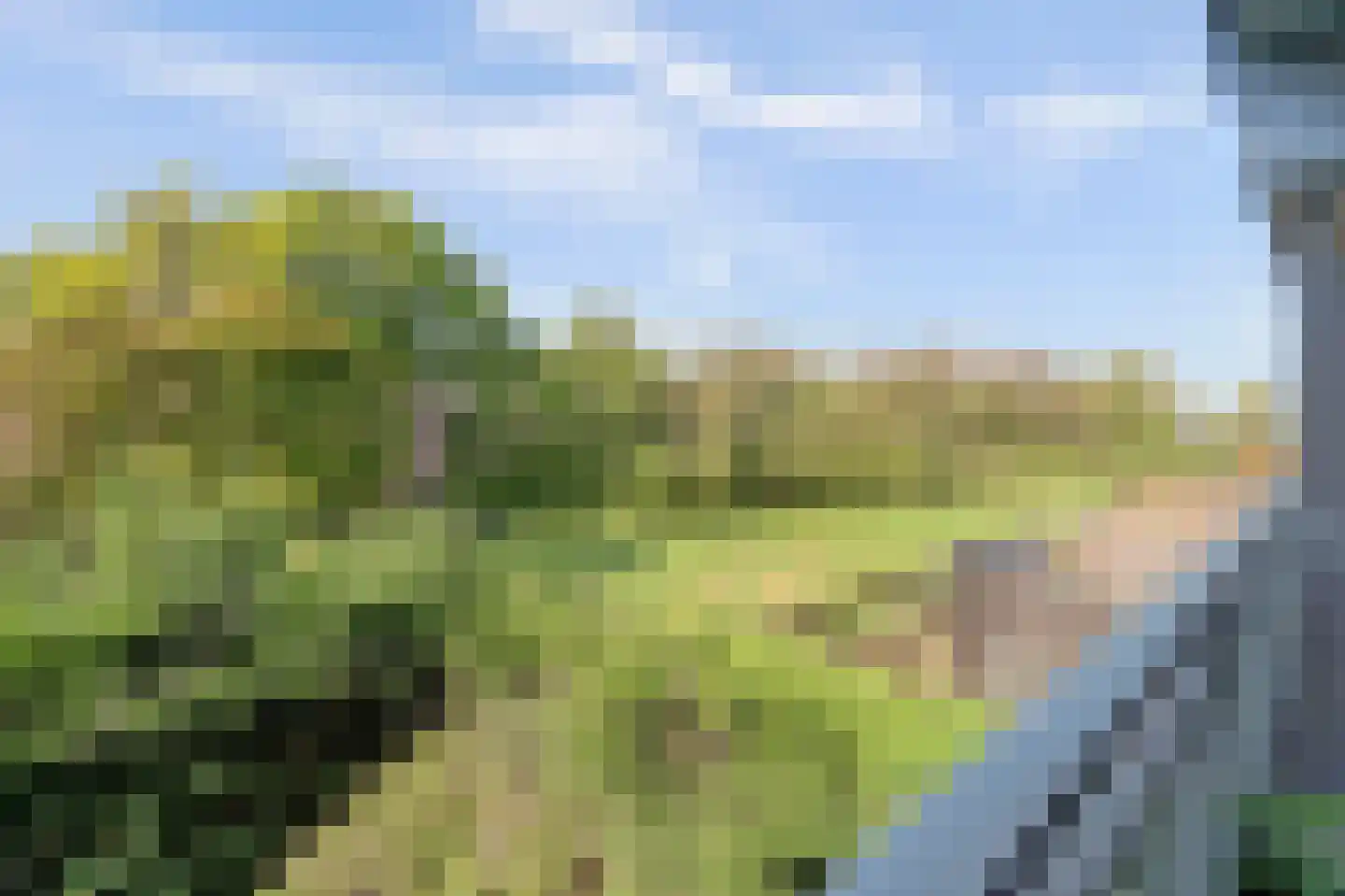 Orionsingel 240 Arnhem thumbnail 36