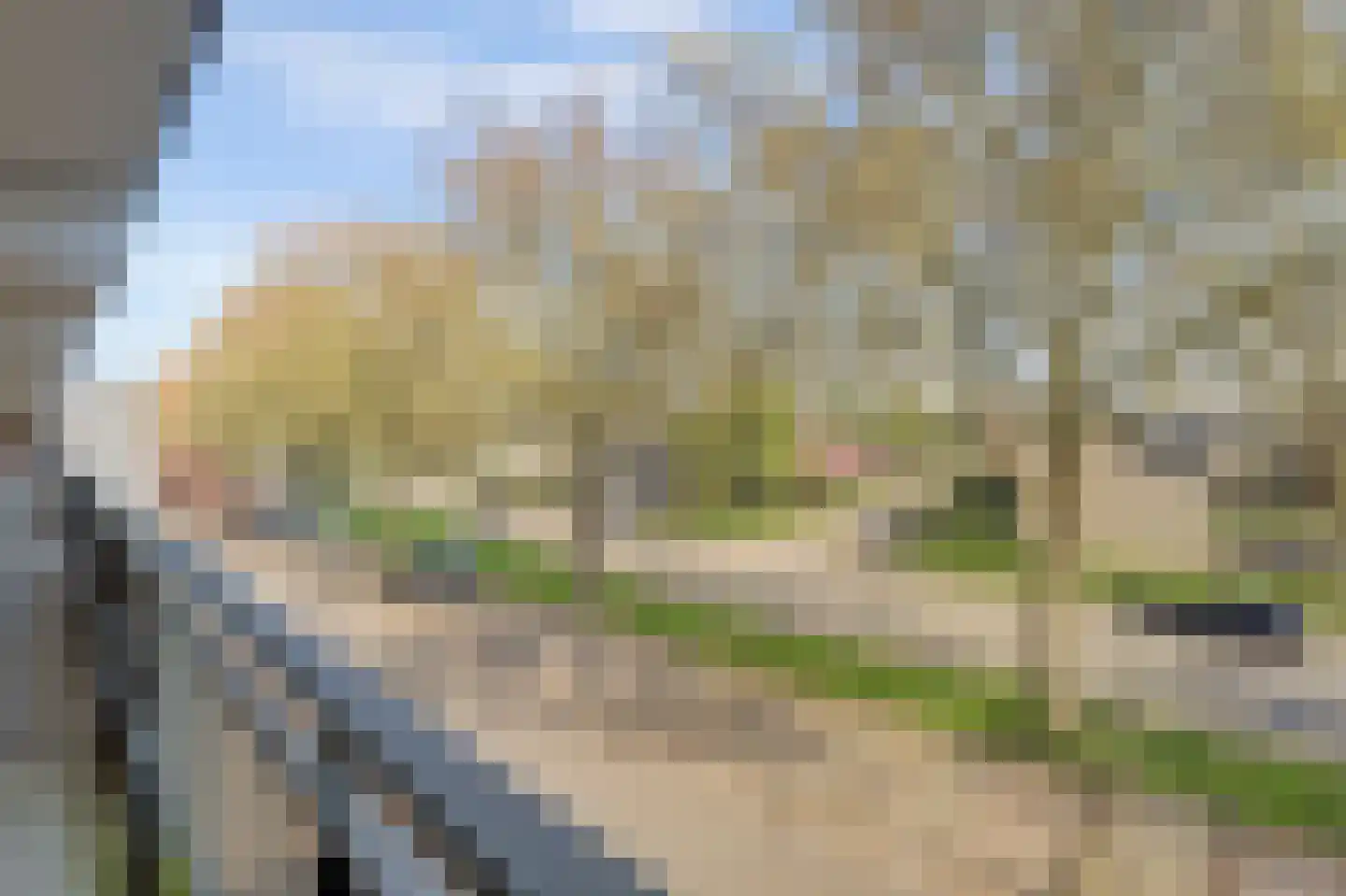 Orionsingel 240 Arnhem thumbnail 37