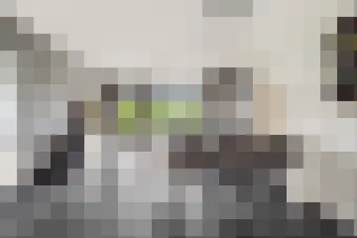 Orionsingel 242 Arnhem thumbnail 10