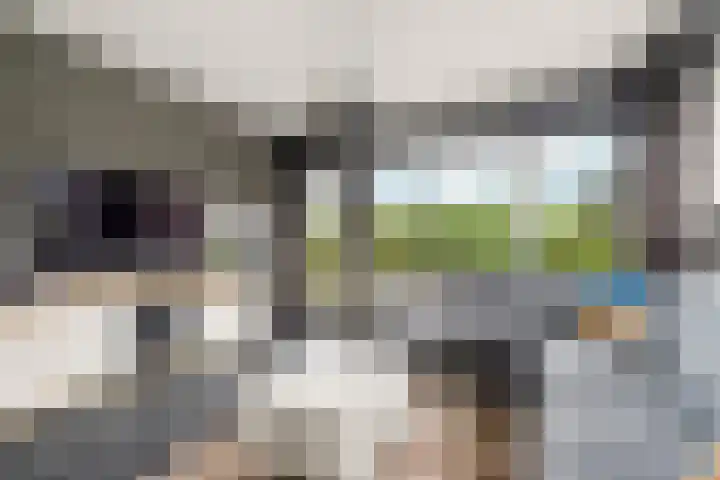 Orionsingel 242 Arnhem thumbnail 11