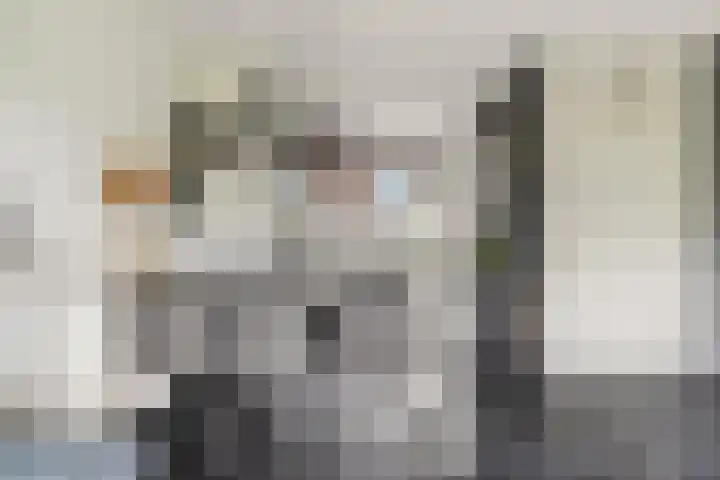 Orionsingel 242 Arnhem thumbnail 13
