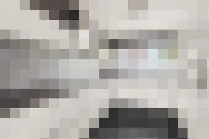 Orionsingel 242 Arnhem thumbnail 15