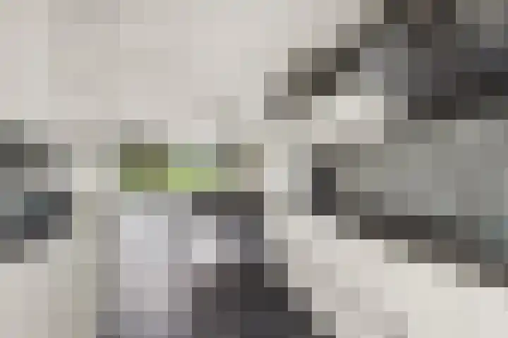 Orionsingel 242 Arnhem thumbnail 18