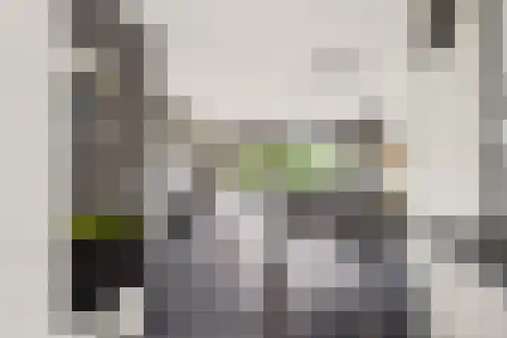 Orionsingel 242 Arnhem thumbnail 19