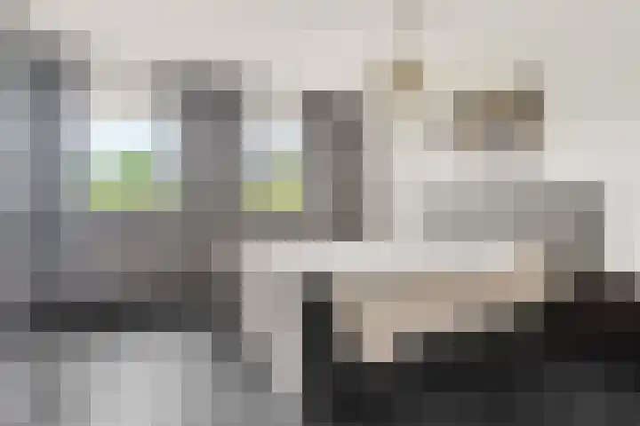 Orionsingel 242 Arnhem thumbnail 23
