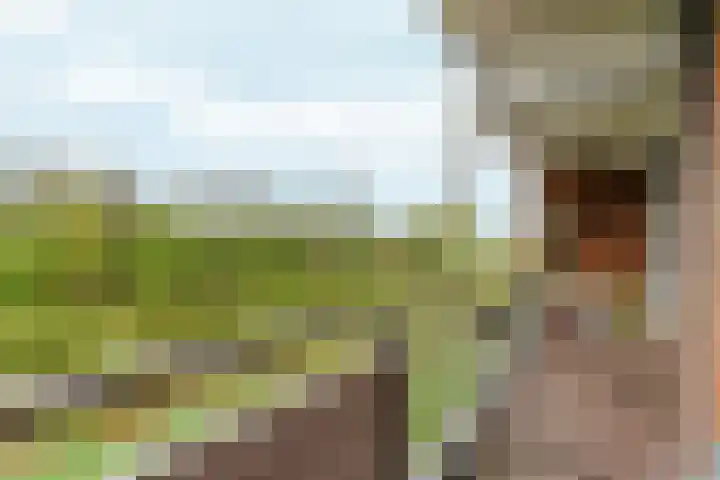 Orionsingel 242 Arnhem thumbnail 30