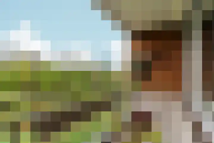 Orionsingel 242 Arnhem thumbnail 31