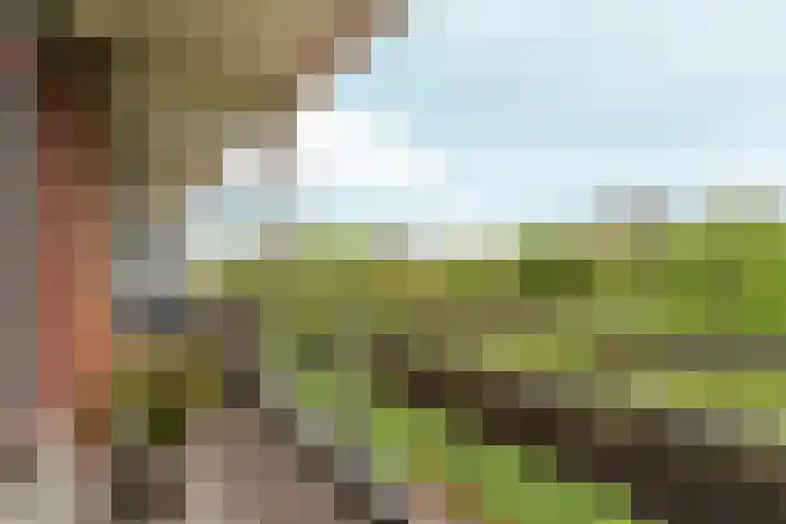 Orionsingel 242 Arnhem thumbnail 32
