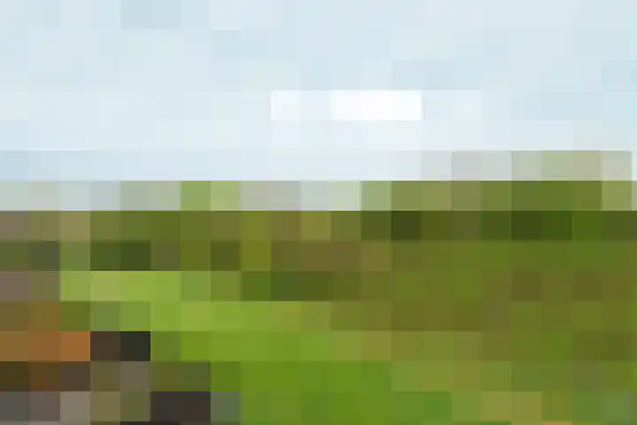 Orionsingel 242 Arnhem thumbnail 33