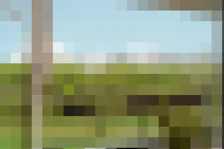 Orionsingel 242 Arnhem thumbnail 34