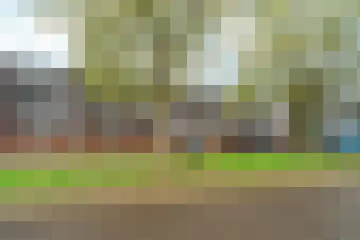Orionsingel 242 Arnhem thumbnail 35