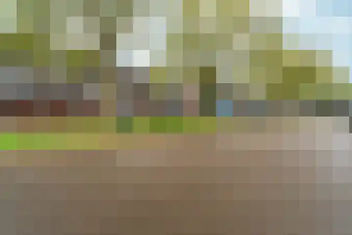 Orionsingel 242 Arnhem thumbnail 36