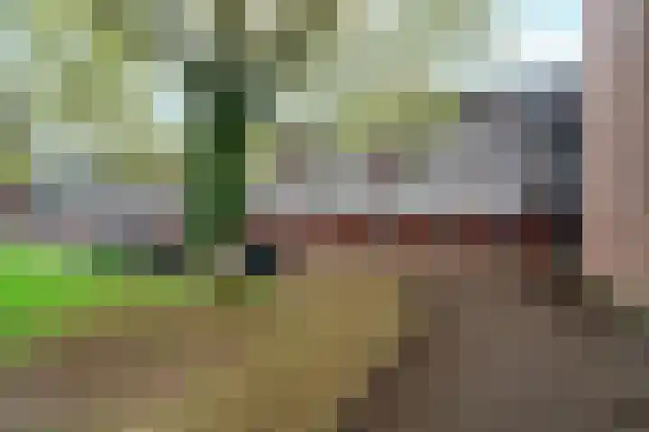 Orionsingel 242 Arnhem thumbnail 38