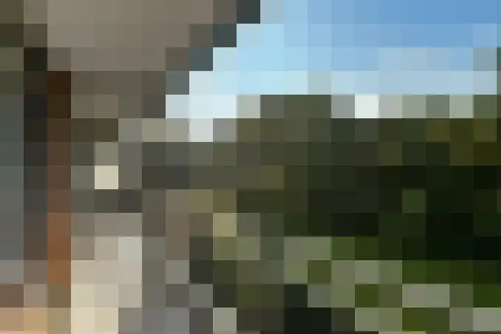 Orionsingel 310 Arnhem thumbnail 16