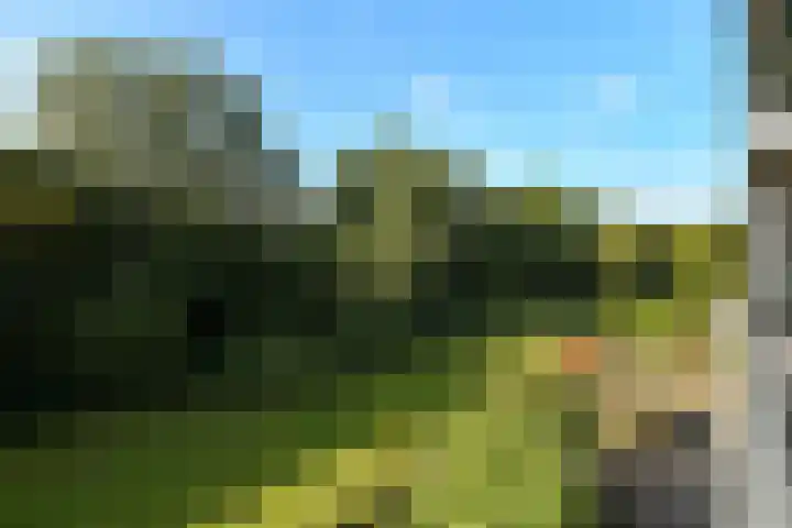 Orionsingel 310 Arnhem thumbnail 17