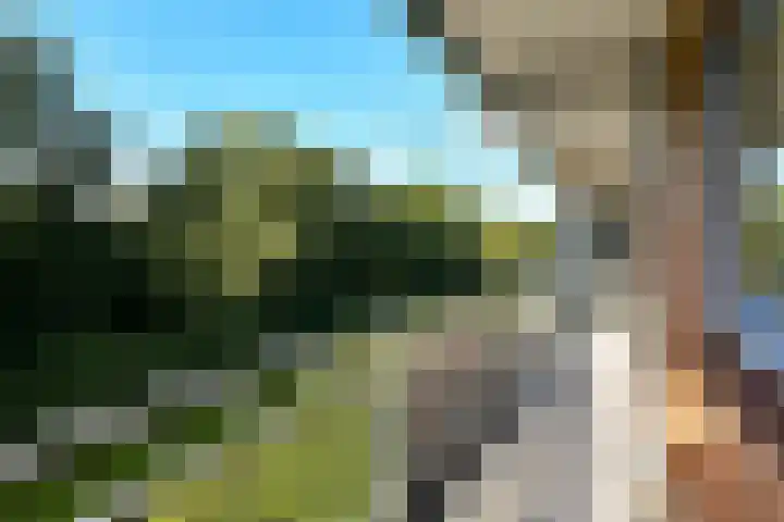 Orionsingel 310 Arnhem thumbnail 18