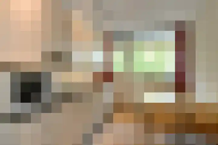 Orionsingel 310 Arnhem thumbnail 23