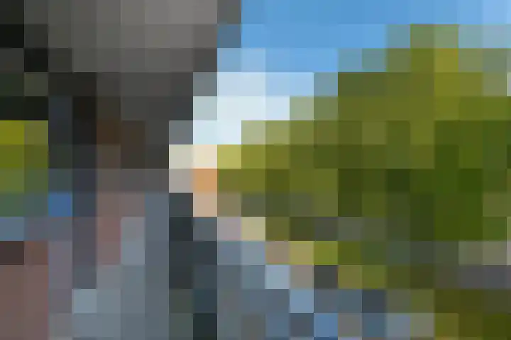 Orionsingel 310 Arnhem thumbnail 37