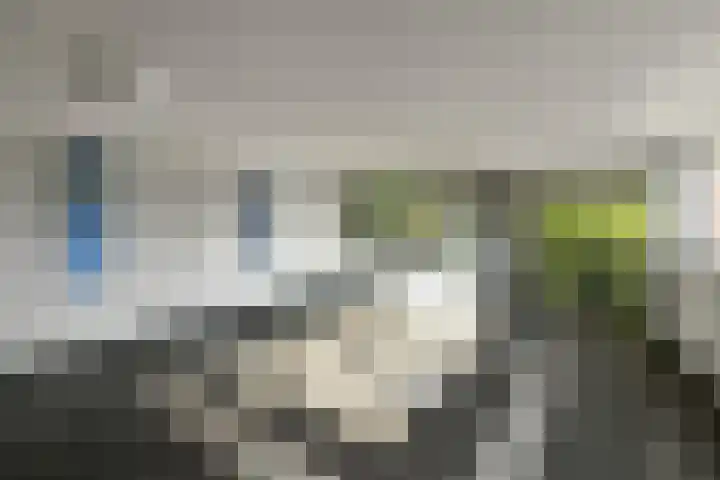 Orionsingel 310 Arnhem thumbnail 38